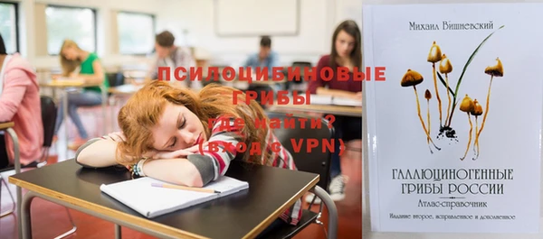 ALPHA PVP Баксан