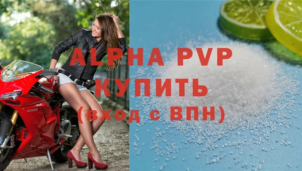 PSILOCYBIN Беломорск