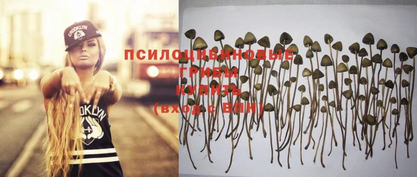 ALPHA PVP Баксан
