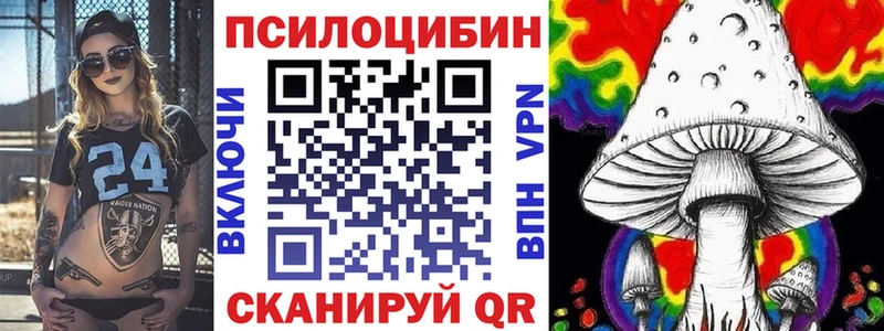 Псилоцибиновые грибы мицелий купить наркоту Борисоглебск